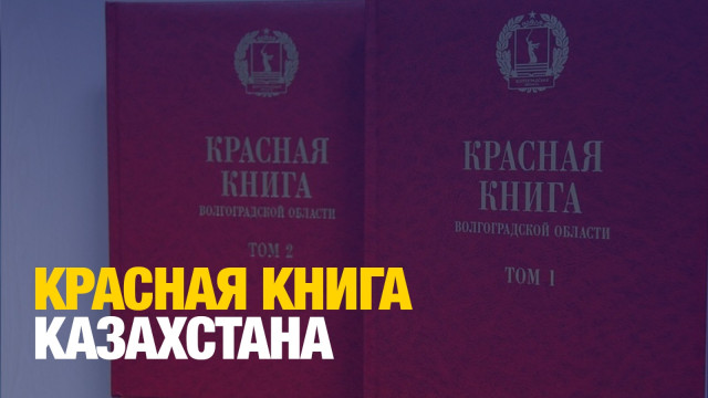 Главные новости 02.12.2024 г.