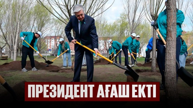 Мемлекет басшысы «Жастар» саябағында ағаш екті