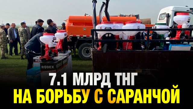 На борьбу с саранчой потратят 7,1 млрд тенге
