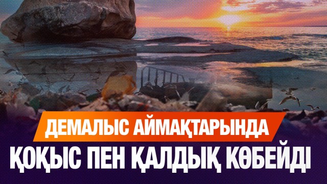 Демалыс аймақтарында қоқыс пен қалдық көбейді