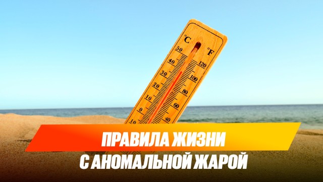 Правила жизни в условиях аномальной жары