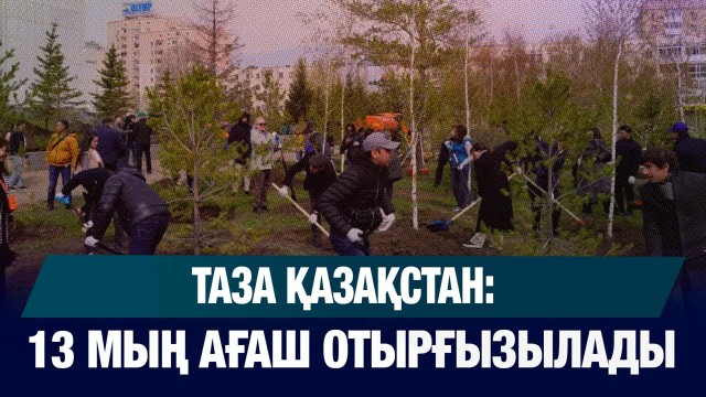 Таза Қазақстан: 13 мың ағаш отырғызылады
