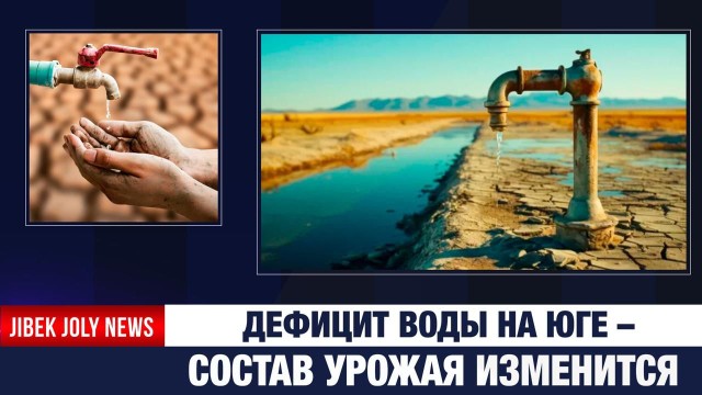 202512092053-kmYQVR78OB.jfif