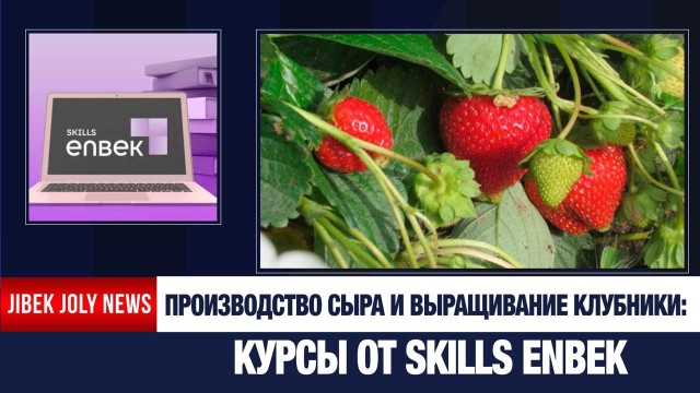 Обучение без границ