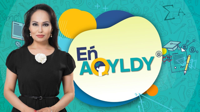 «En Aqyldy» зияткерлік шоуы | Ширек финал