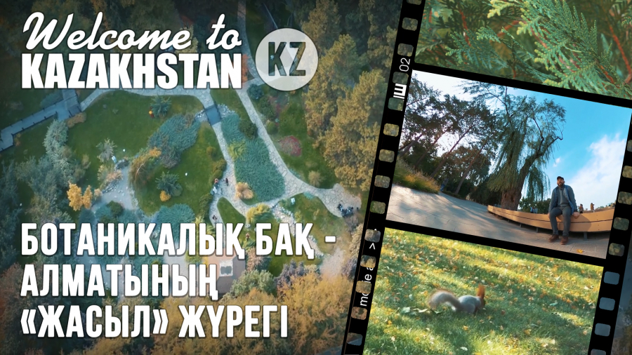 Ботаникалық бақта қандай тропикалық қонақтарды кездестіруге болады?