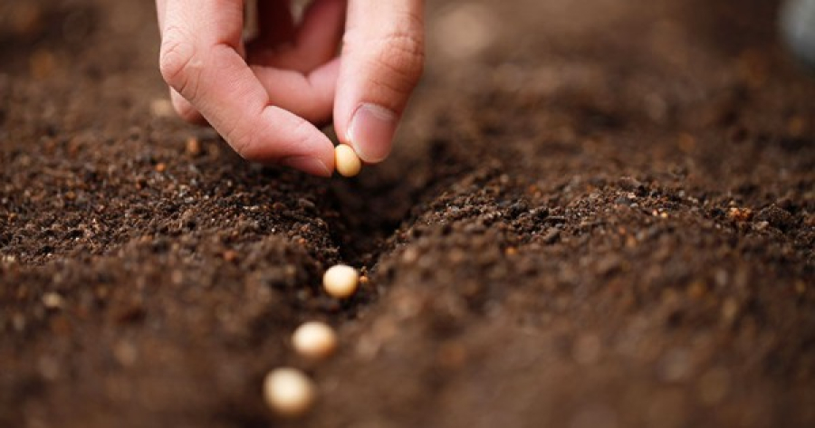 Ауыл шаруашылығы саласына көмегін тигізетін ядролық технологиялар