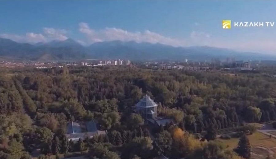 Человек, одержимый лесом