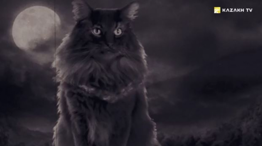 Роль кошки в жизни кочевников