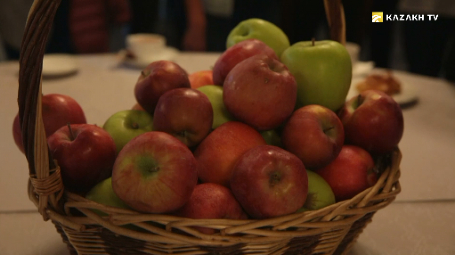 Жетісудың «Сиверс алмасы»