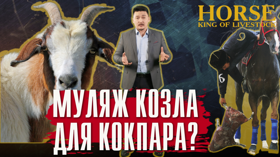 В каком году появились правила игры в Кокпар?