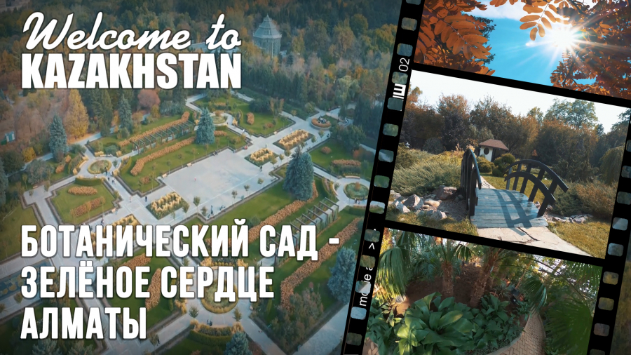 Где в Алматы можно посмотреть на растения, собранные со всего мира?