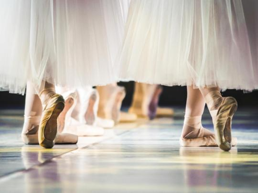 media/k2/items/cache/a4c6c5b387038ec9bb17220048207a27_XL.jpg?t=20230119_131249