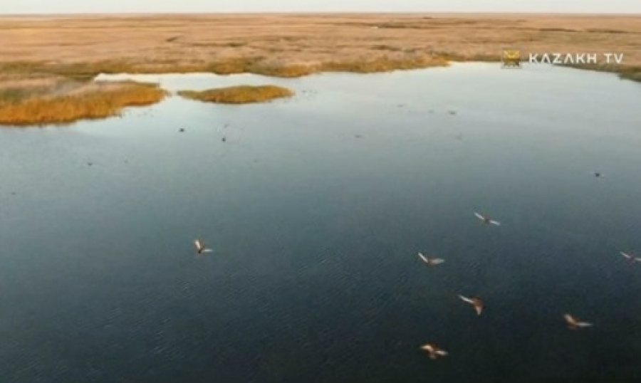 Дельта реки Или