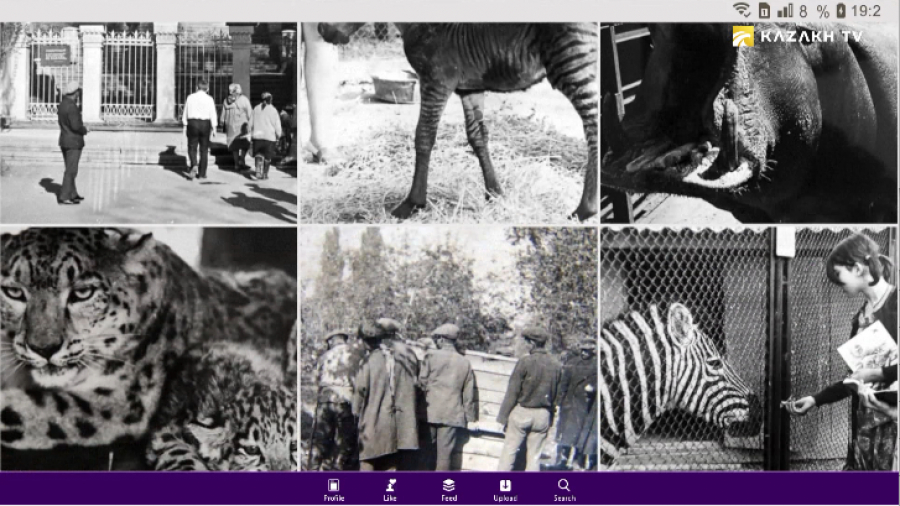 1937 год. Как создавался первый Алматинский зоопарк?