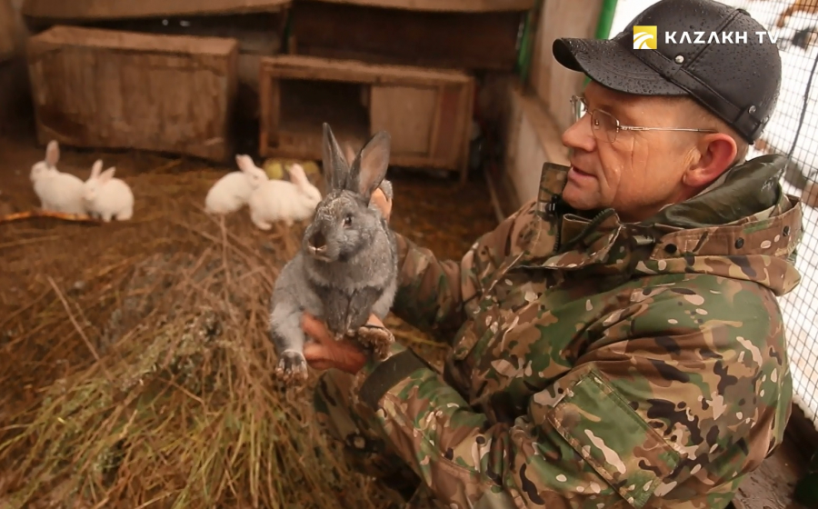 Самые полезные птицы садов