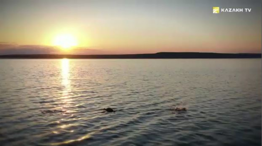 Аральское море