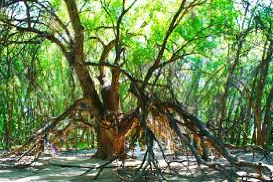 Место, которое притягивает людей со всего мира