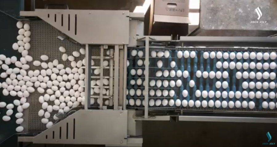 Алматинская птицефабрика «Сункар»