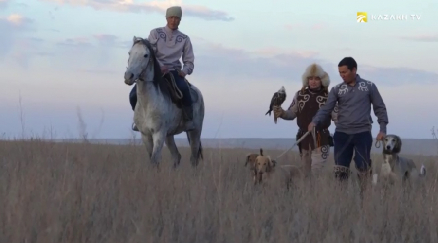 Дикие жеребцы и охота с беркутом