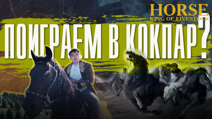 Сколько ипподромов в Казахстане?