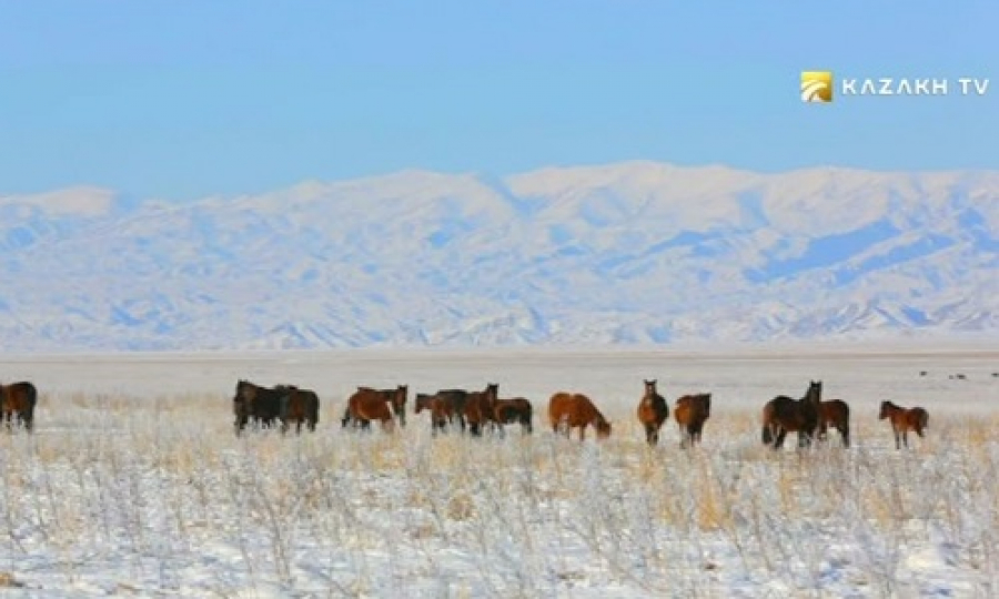 Кольсайские озера