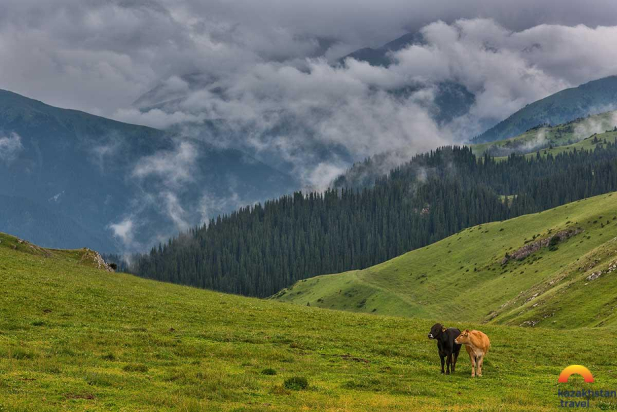 Плато Табан-Карагай, Медвежий водопад, Тургеньское ущелье
